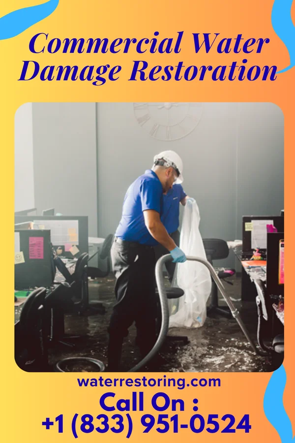Commercial Water Damage Restoration in Bertrand, MO
