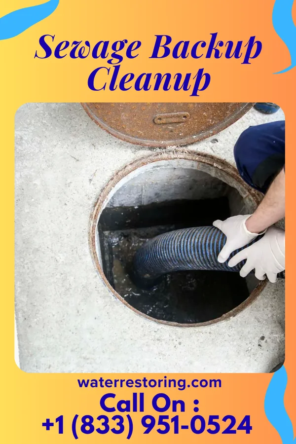 Sewage Backup Cleanup in Bertrand, MO
